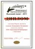 МПФ "Высокий полет - 2011"