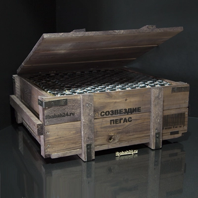 Фейерверк "Созвездие Пегас" - Цена: 26 208 р. - Фото 1