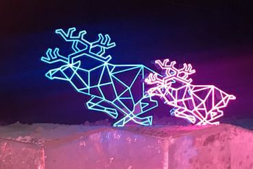 Открытие парка Универсиады - Фото 1